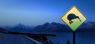 HP Banner 1