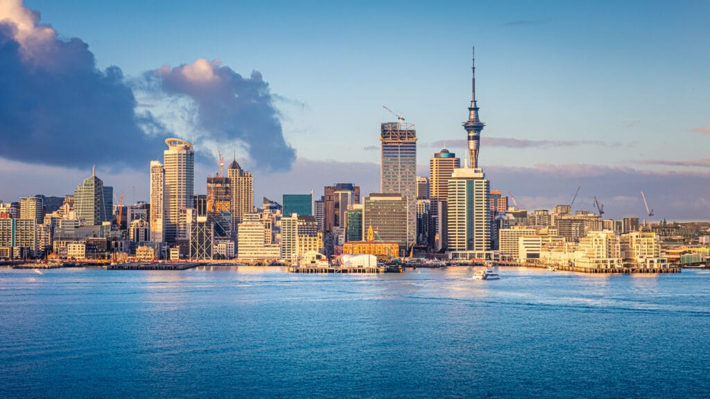 The potential of .NZ Domains